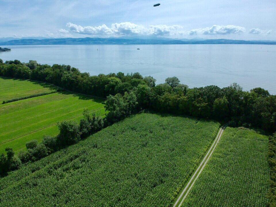 Wohlfuehlloft Seekretzer Mit Privatem Seezugang Фридрихсхафен Экстерьер фото
